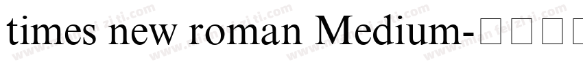 times new roman Medium字体转换